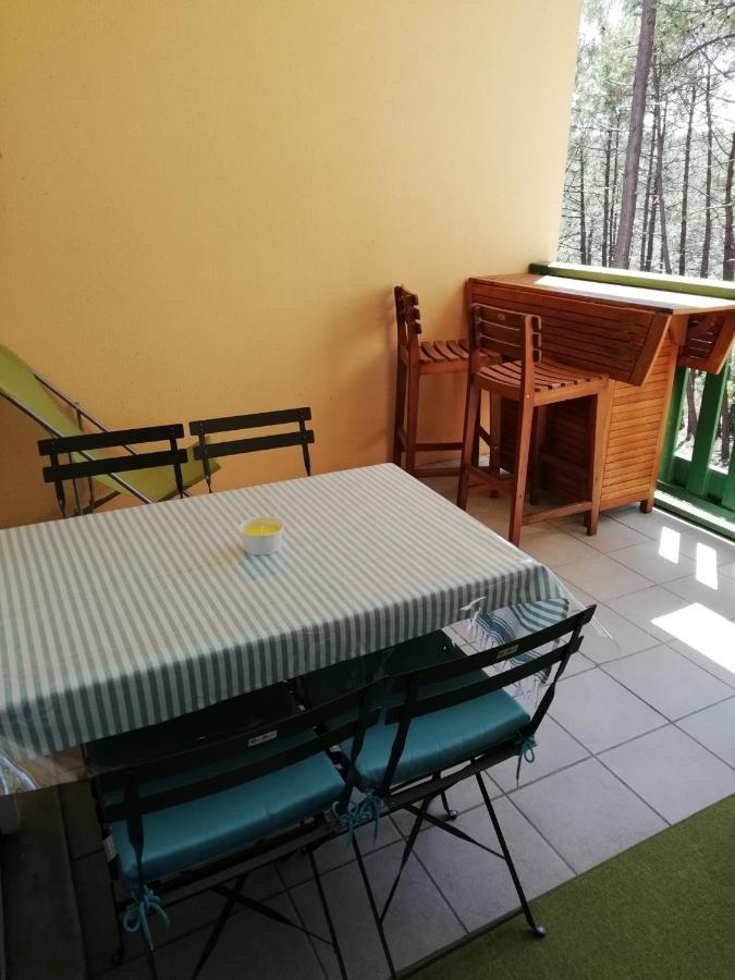 Les Grands Pins Apartment Carcans